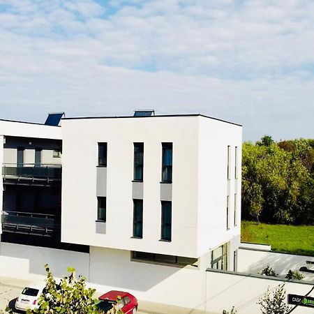 تيميشورا Casa Maria City Apartments المظهر الخارجي الصورة
